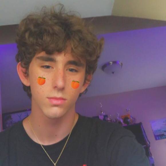 Meet your Posher, Joey - Picture 1 of 1